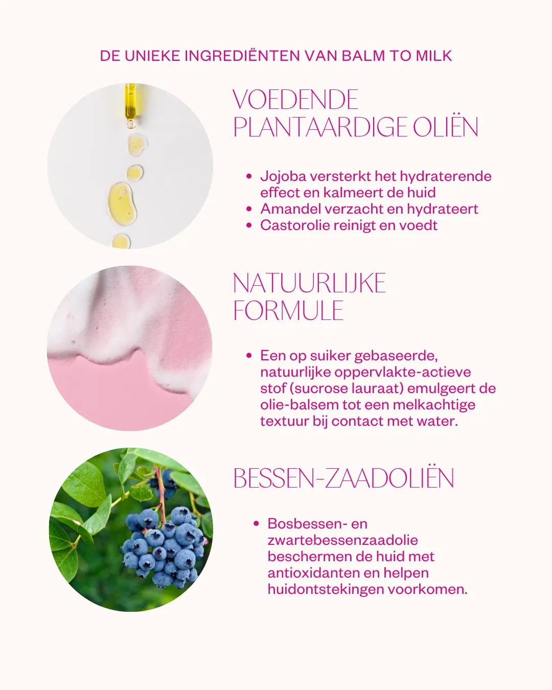 Miniatuur 4