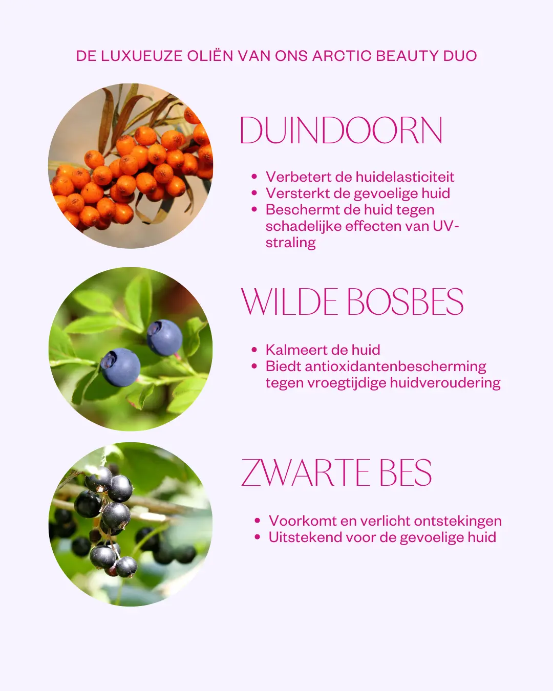 Miniatuur 3