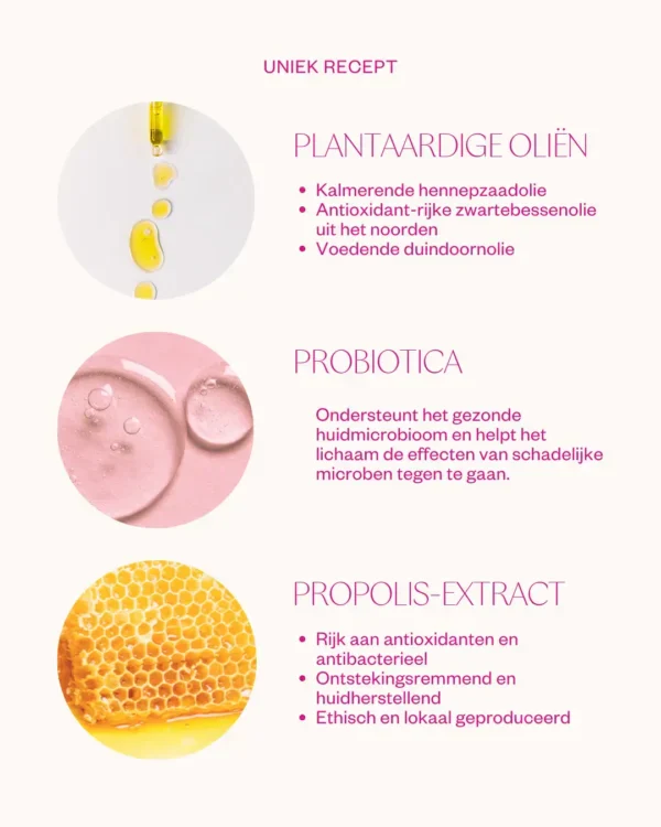 Miniatuur 3